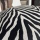 Antique Baroque chair redesigned in Zebra fabric
