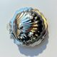 Scallop butter dish in stainless steel and blue glass - vintage 1970