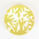 Large plate - Yellow Cineraria