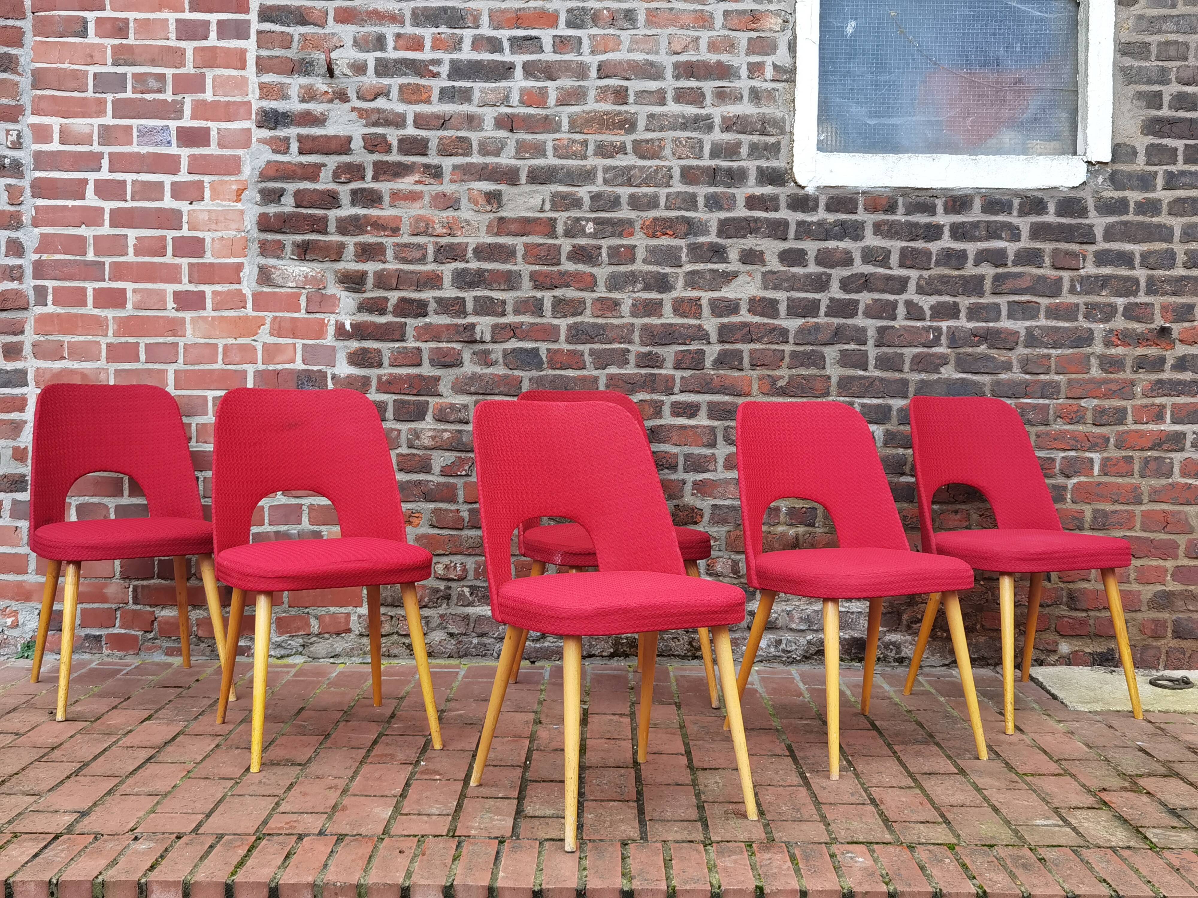Lot of 6 Oswald Haerdtl chairs for Ton
