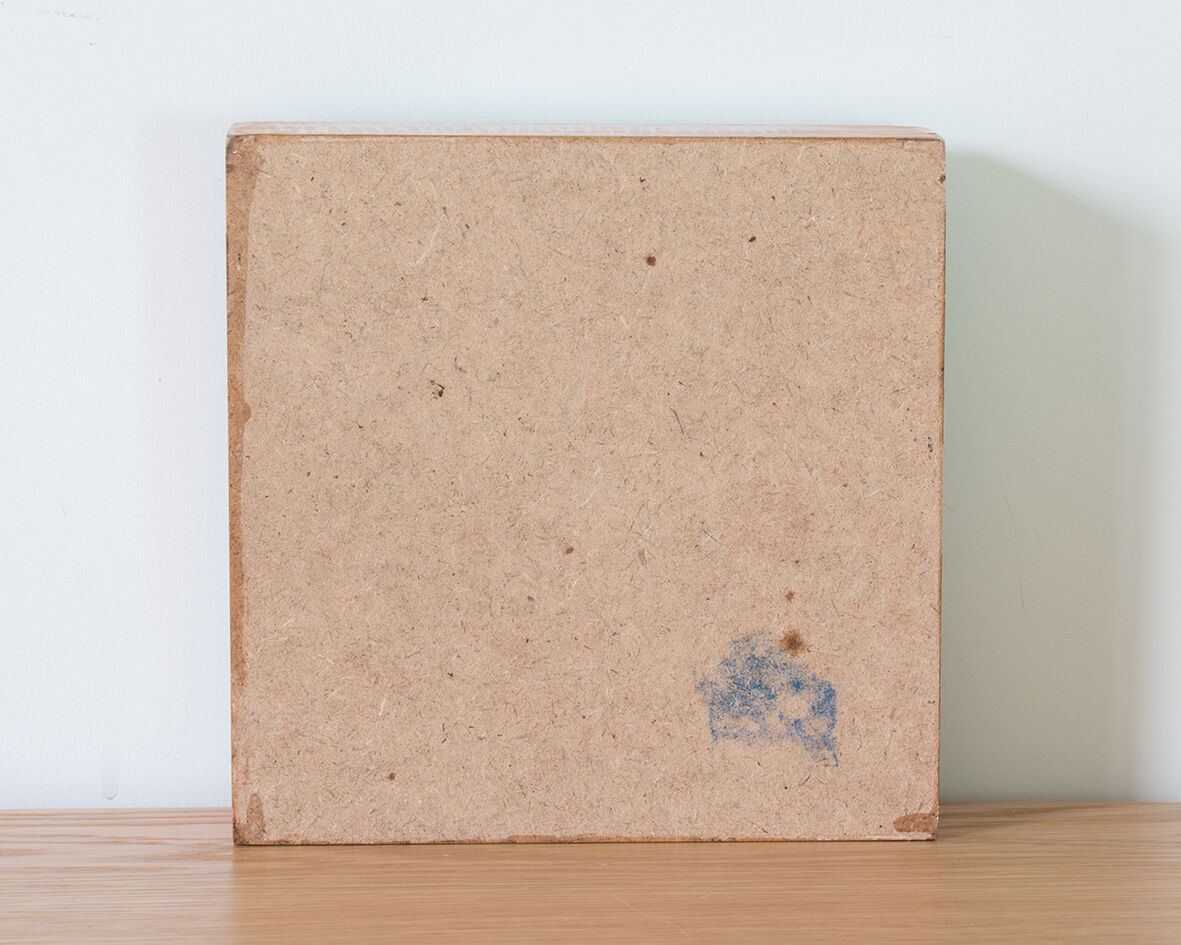 Naturalized insects entomology