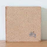 Naturalized insects entomology