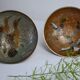 Duo trinket bowls