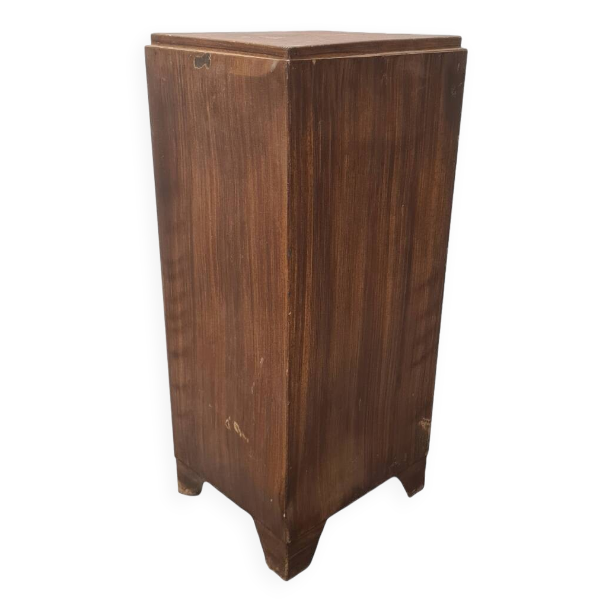 French Faux Bois Metal Cabinet, early 1900s