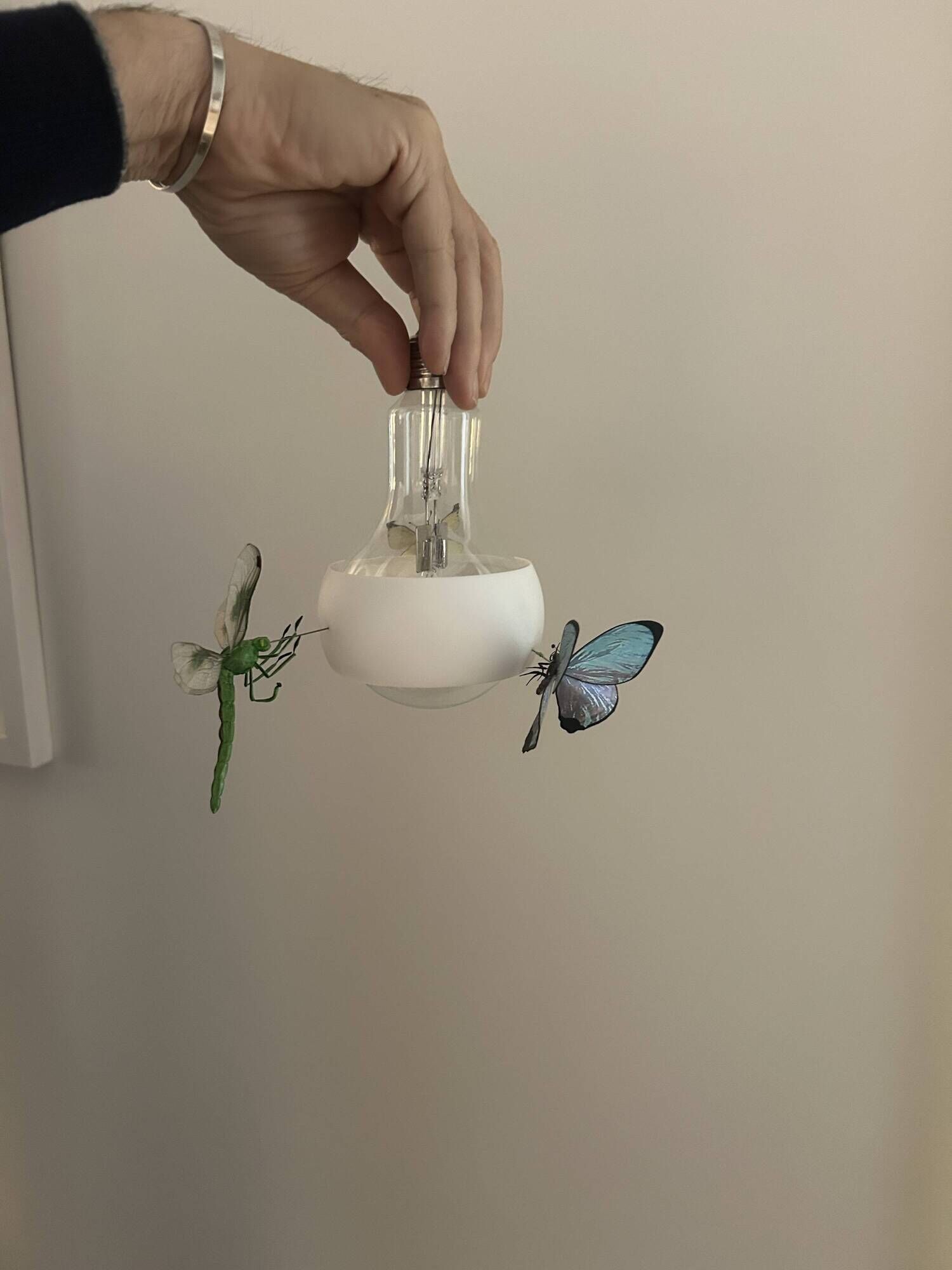 Set of 2 Johnny B. Butterfly pendants by Ingo Maurer