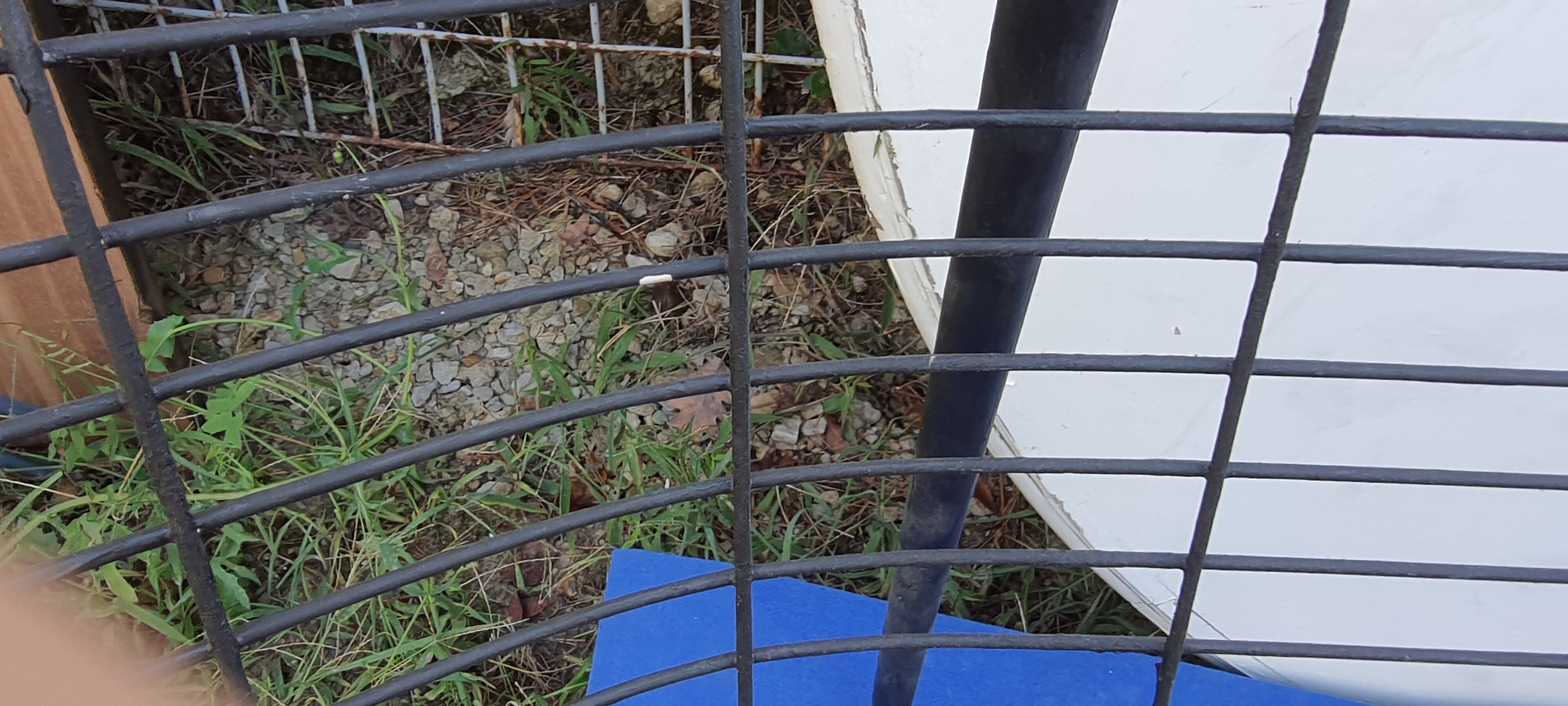 Jarpen bench by Niels Gammelgaard