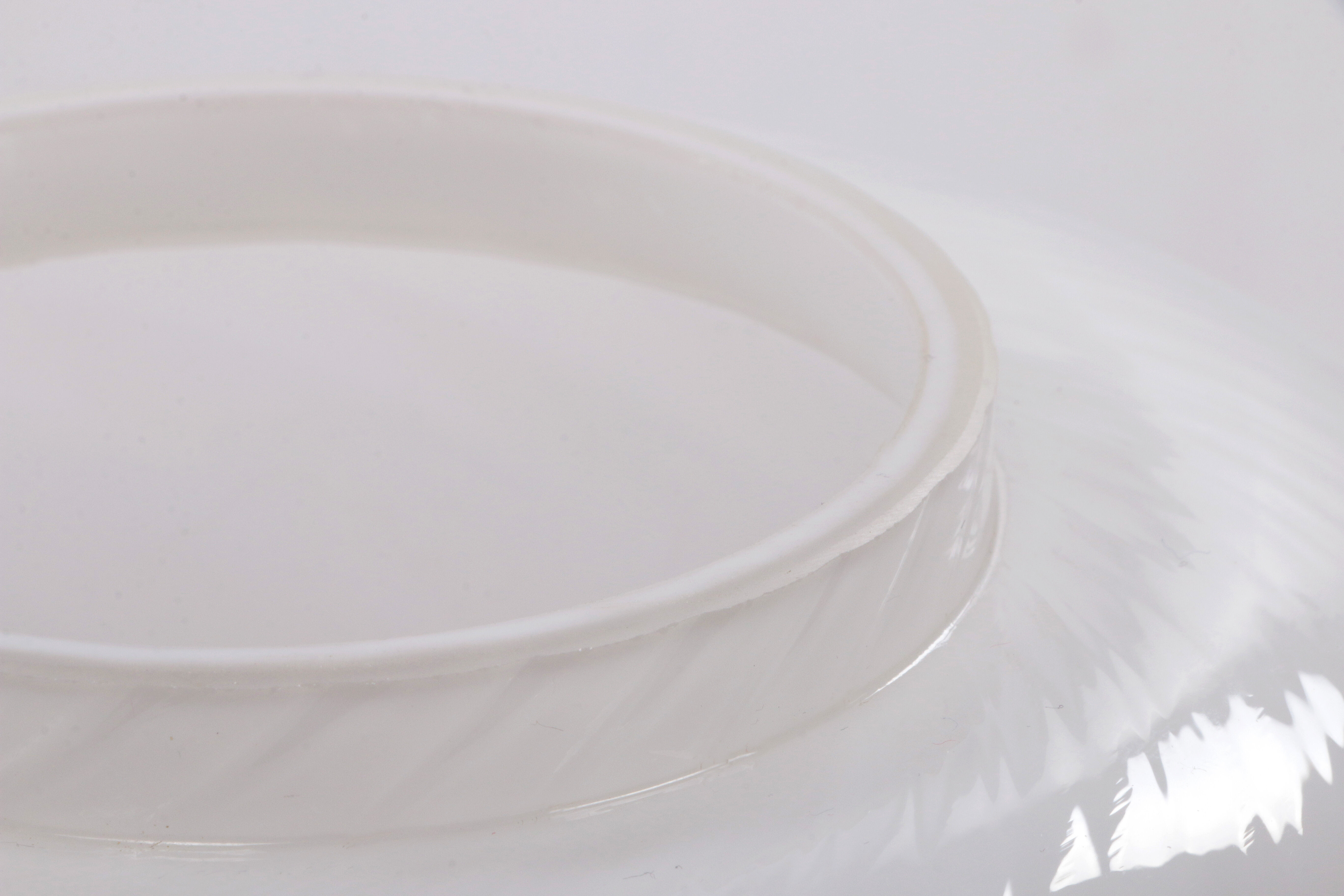 Vintage Set of 2 Opaline glass lamps, 1960 Germany.