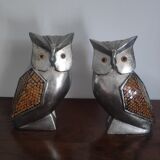 Owl duo