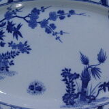 Dish