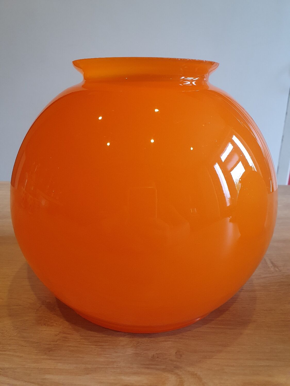 Duo of opaline lampshades