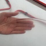 Set of "Plia" Chairs by Giancarlo Piretti for Castelli, 1970's