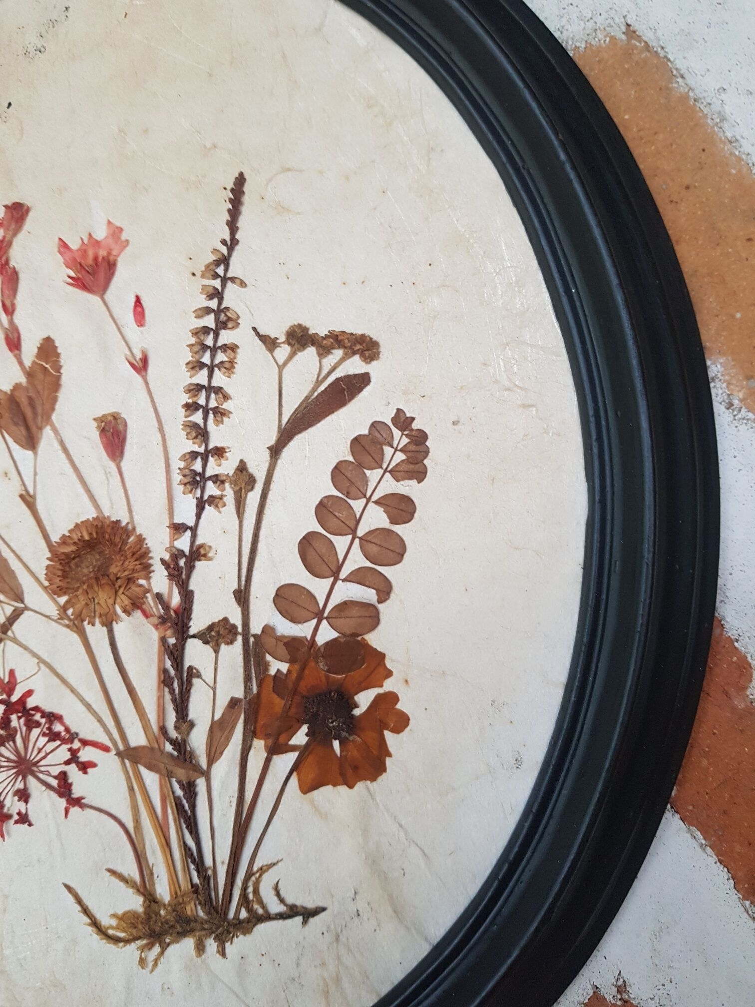 Pair of dried flower frames