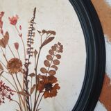 Pair of dried flower frames