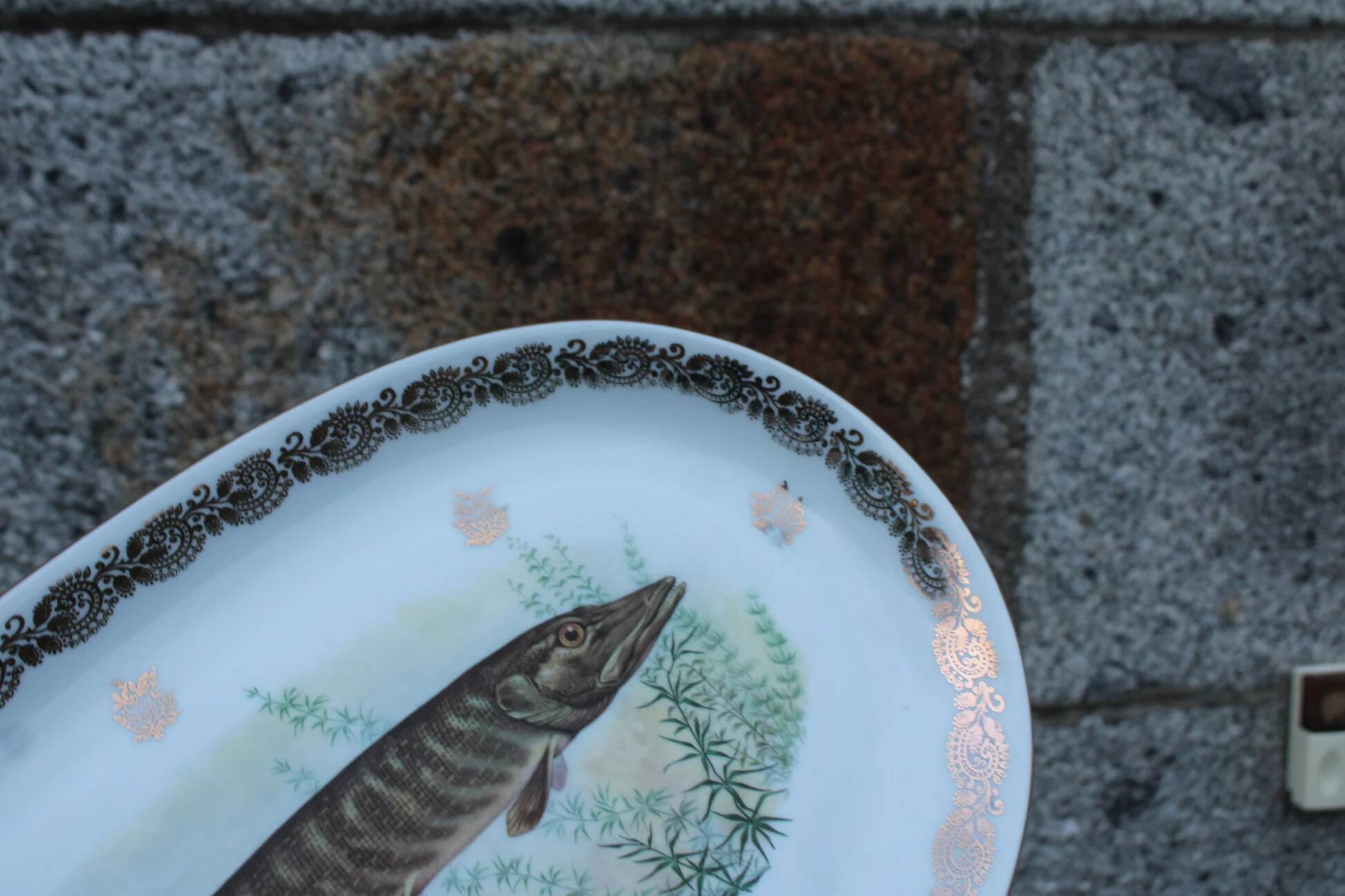 Large French porcelain dish L.C – Painted pike & gilded frieze