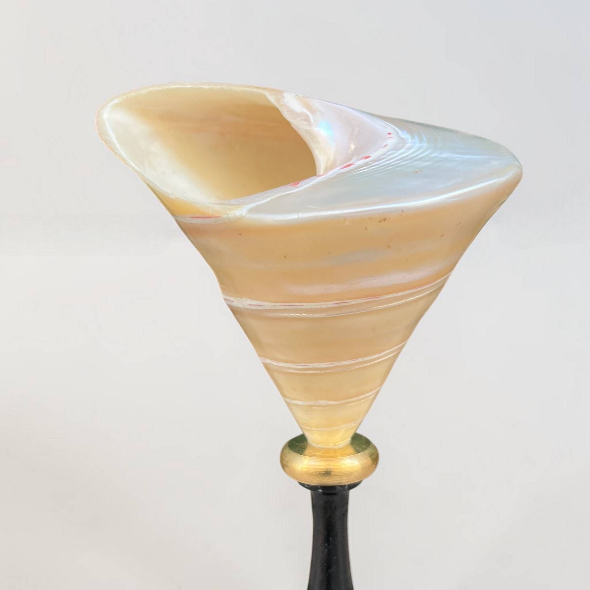 Ancient Troca Trochus shell in mother-of-pearl on a wooden base curiosities