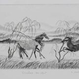 Camille combe: manes in the wind, original signed engraving