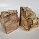 Pair of petrified wood bookends