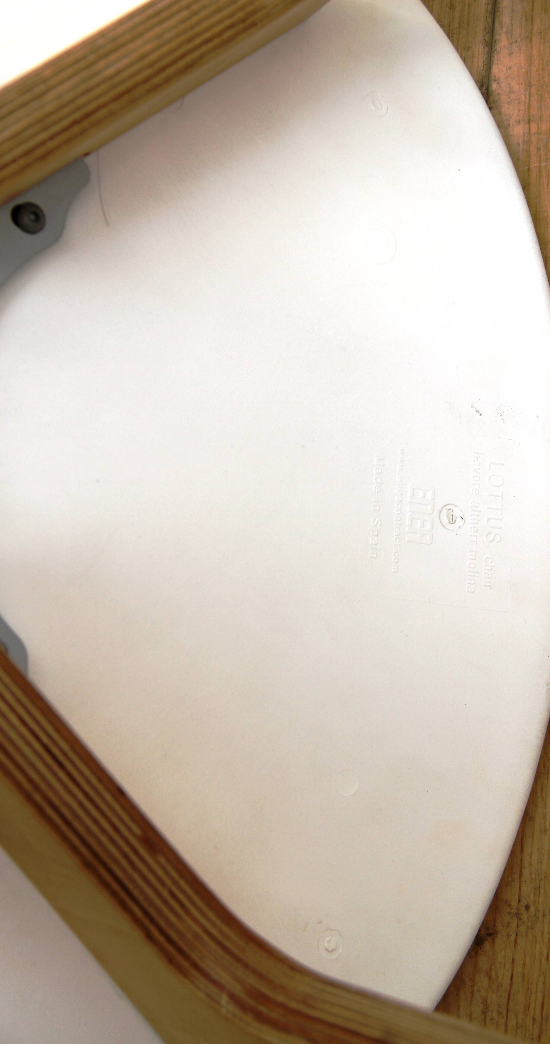 Lottus Chair office chair, Enea