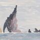 Camille combe: to starboard, bear island, original signed monotype