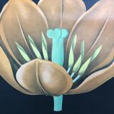 Tulip botanical poster by Jung Koch Quentell