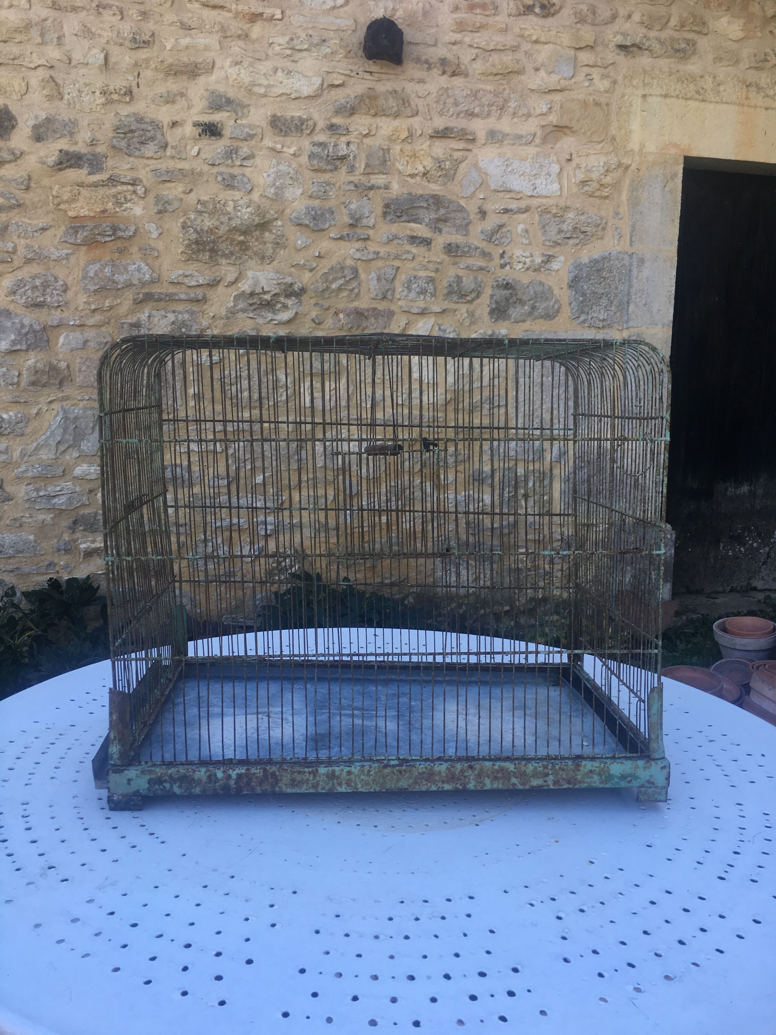 Metal bird cage