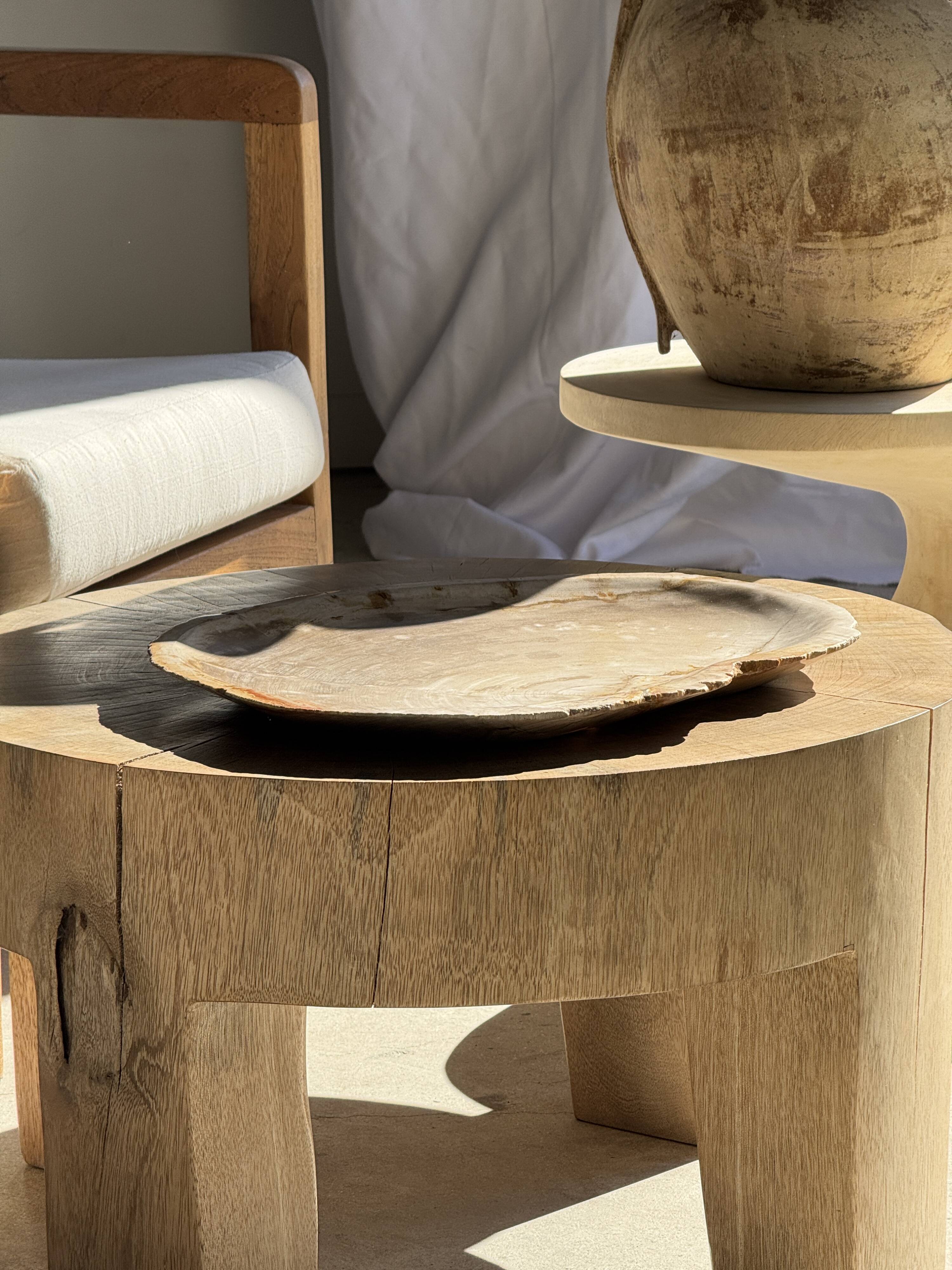 Very large pocket tray or dish in beige petrified wood D35