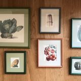 Lot of 6 old vegetable images
