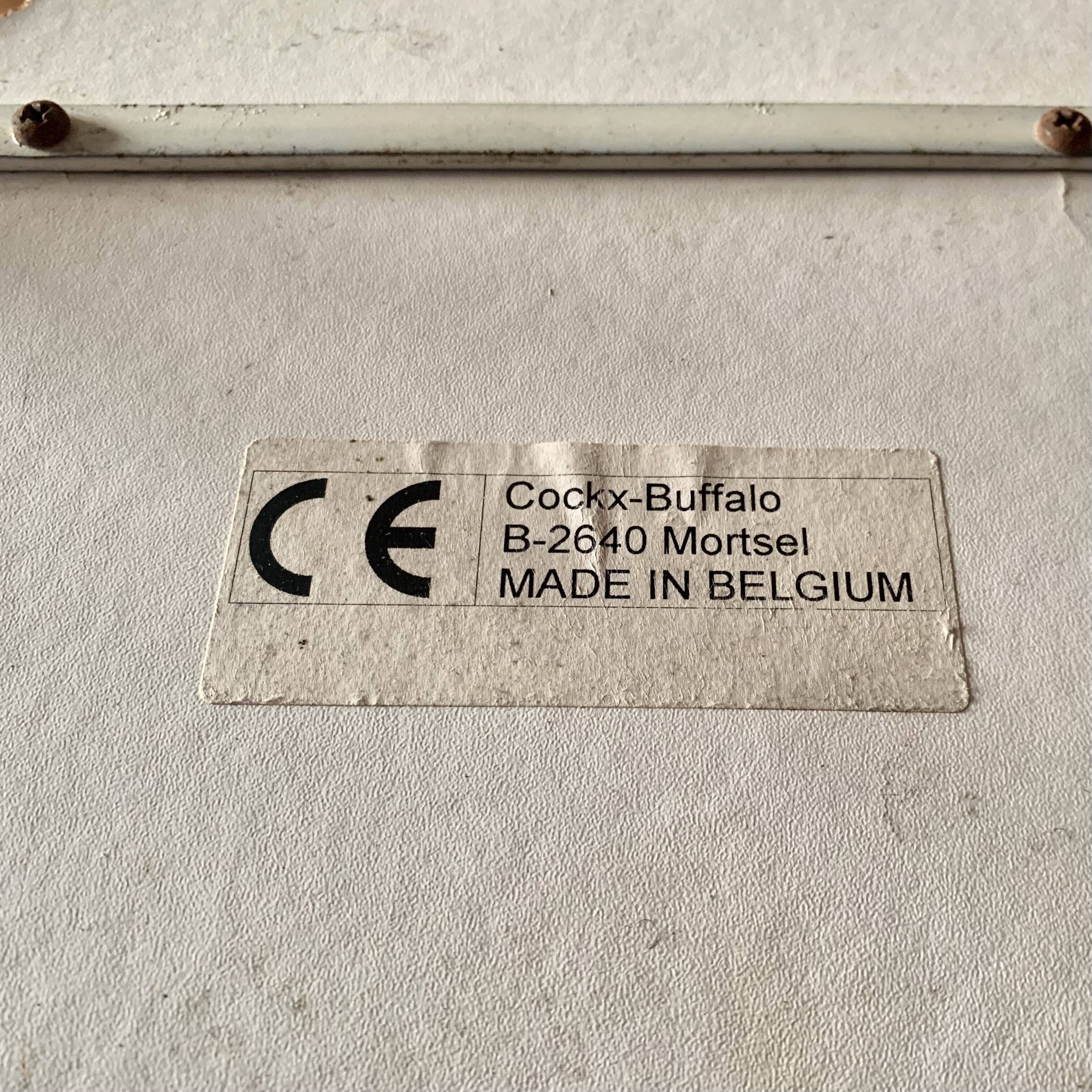 Vintage children's tricycle - painted and chromed metal - Buffalo Type Luxe