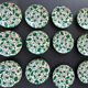 Lot of 6 or 12 dessert plates Caroline by Benoist