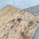 1900s pine and oak farmhouse table