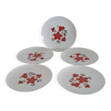 Set of 5 flat plates - Arzberg earthenware factory 1960/70