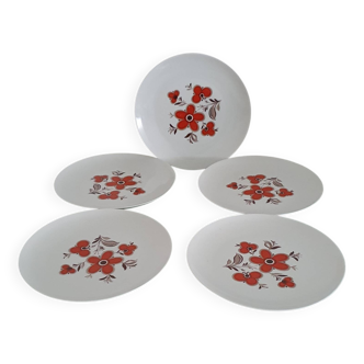 Set of 5 flat plates - Arzberg earthenware factory 1960/70