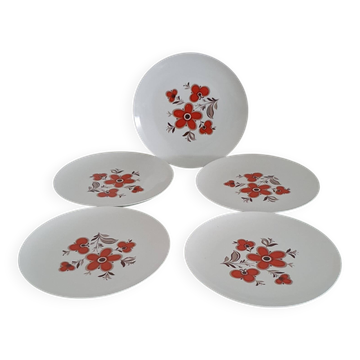 Set of 5 flat plates - Arzberg earthenware factory 1960/70