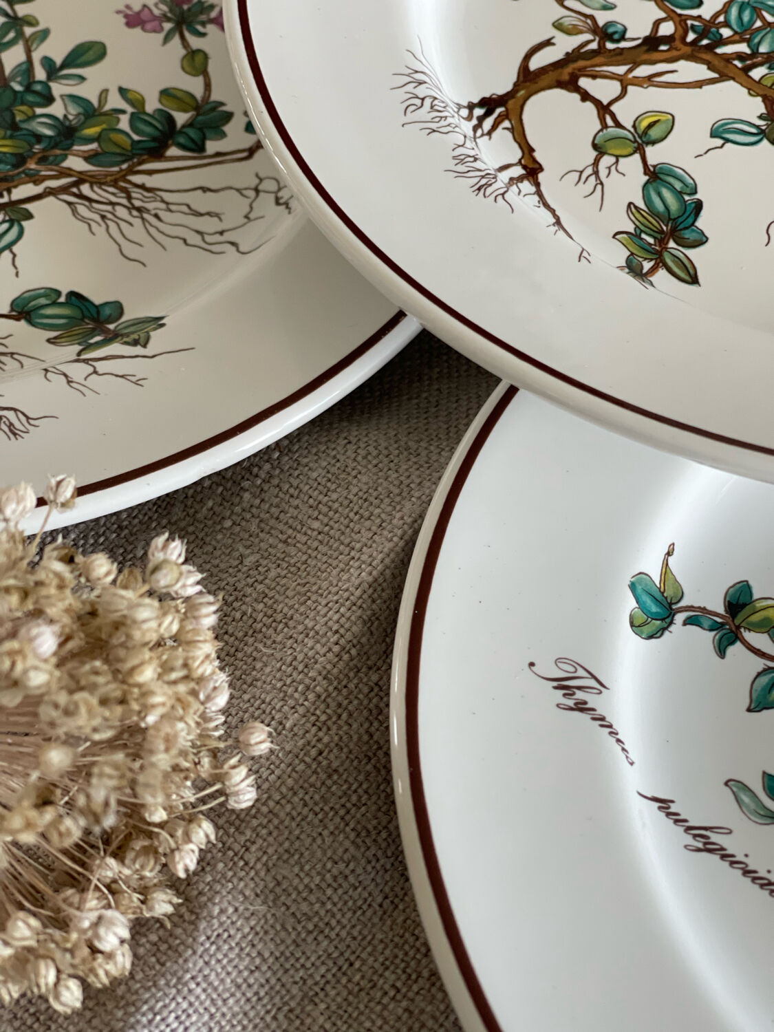 Sitemapcdatahttpsmodeinf Inetcomvilleroy Et Boch Assiette