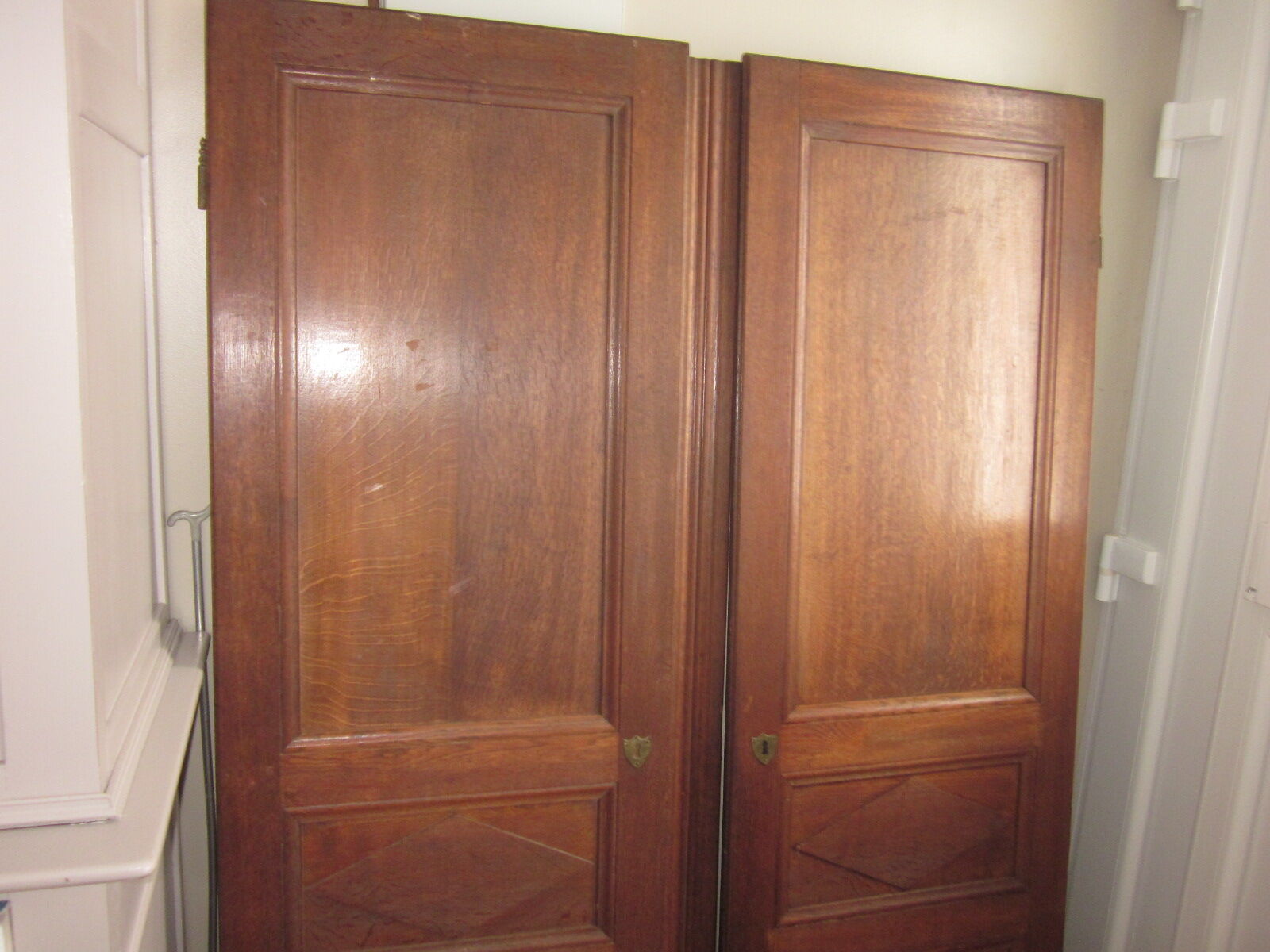 Pair of old door