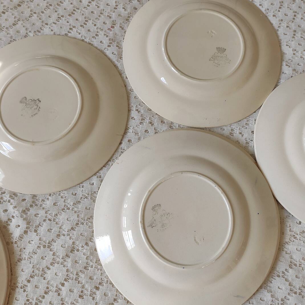 7 Old Longwy plates