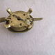 Turtle table bell