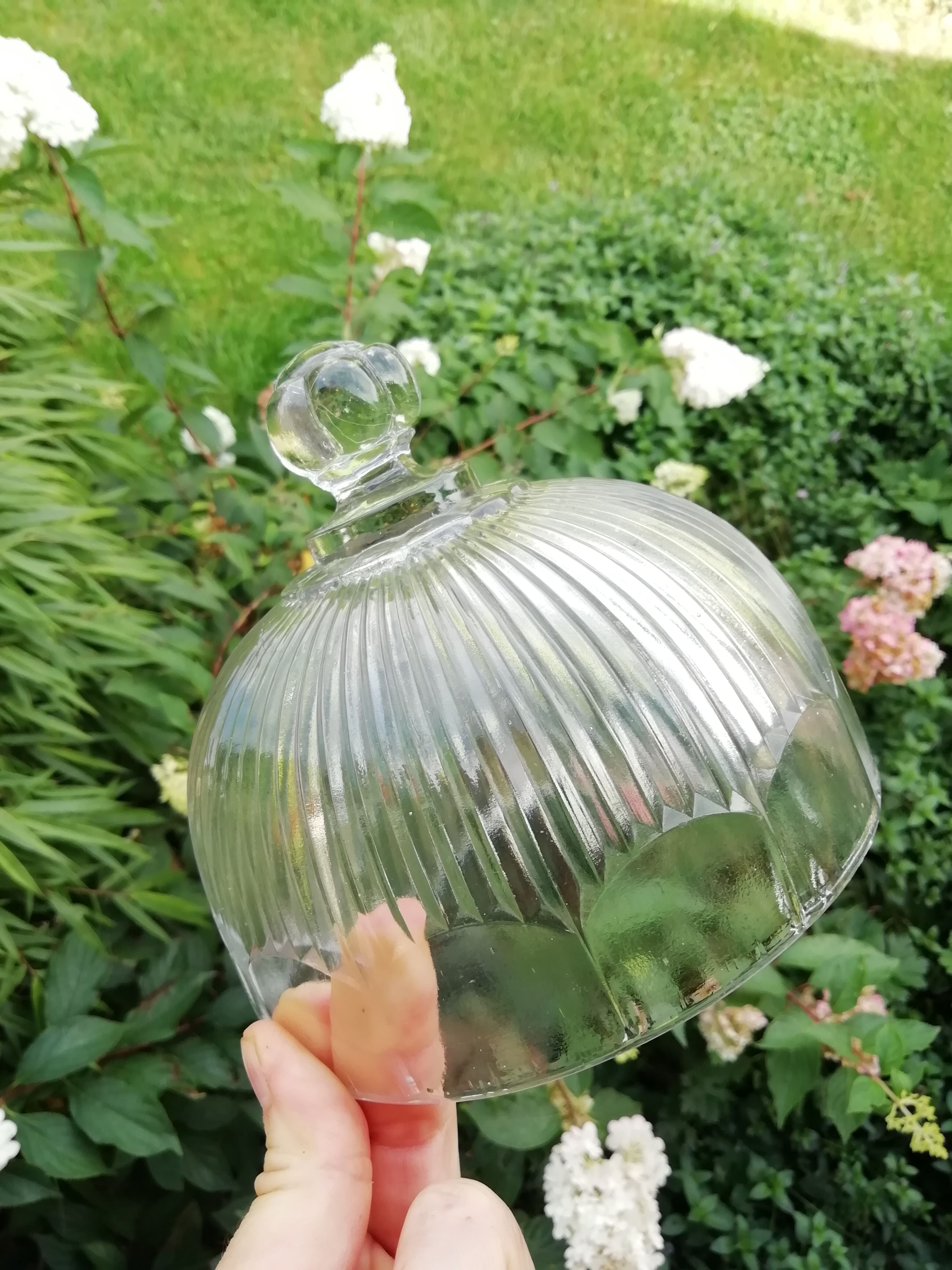 Glass bell and matching top