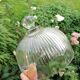 Glass bell and matching top