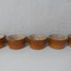 5 terracotta ramekins