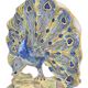 Faience bouquet holder from Desvres in the shape of a peacock.