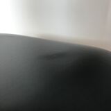 Set of 6 Pegasus chairs