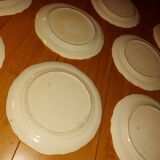 10 dessert plates painted decorated with flowers, insects (all different)