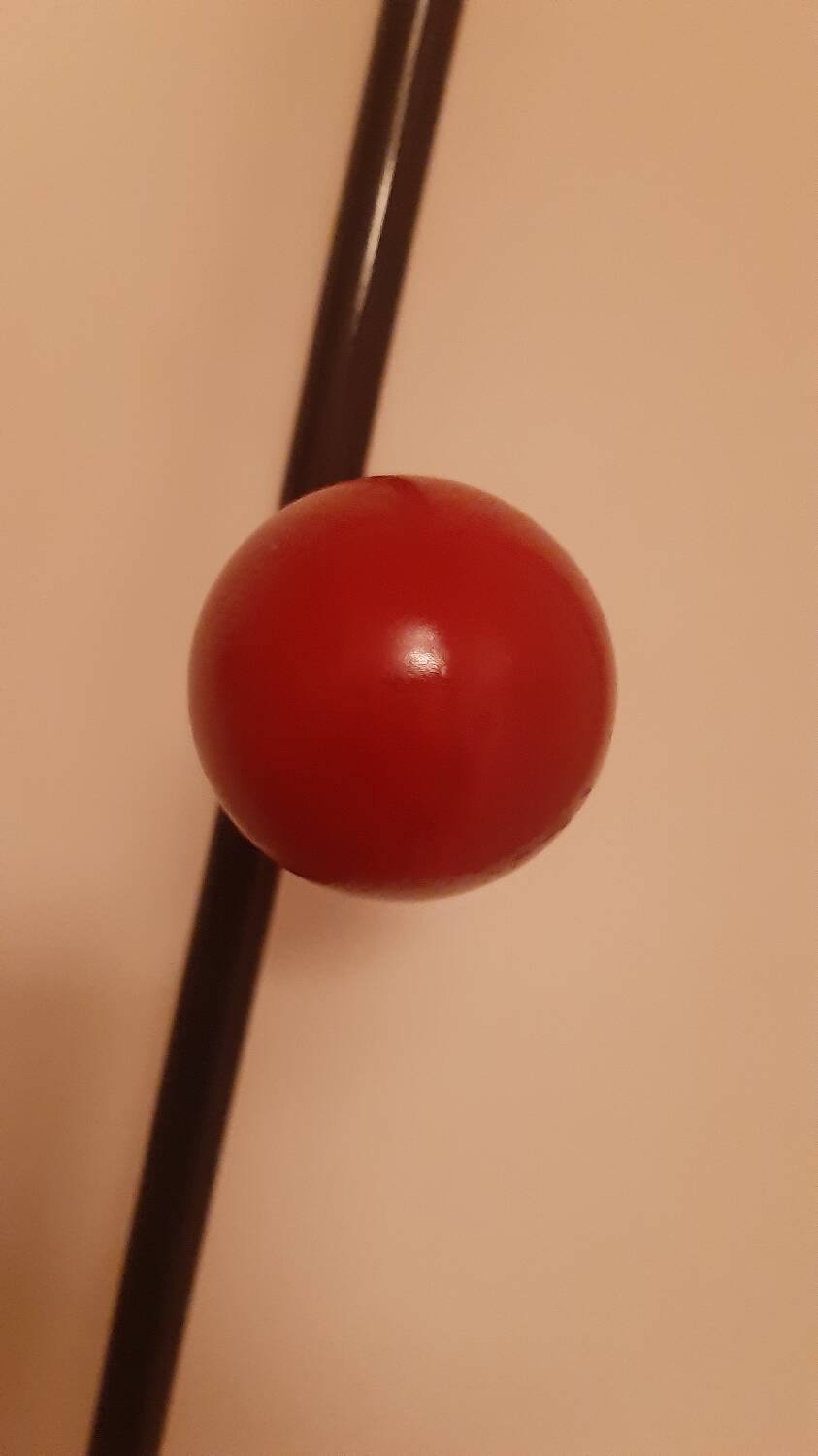 Roger Feraud locker room coat rack