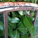 W84xH137.5 industrial curved metal glass frame window