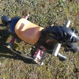 Vintage carousel riding horse
