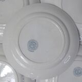 Terre de fer 6 assiettes plates Cyclamen