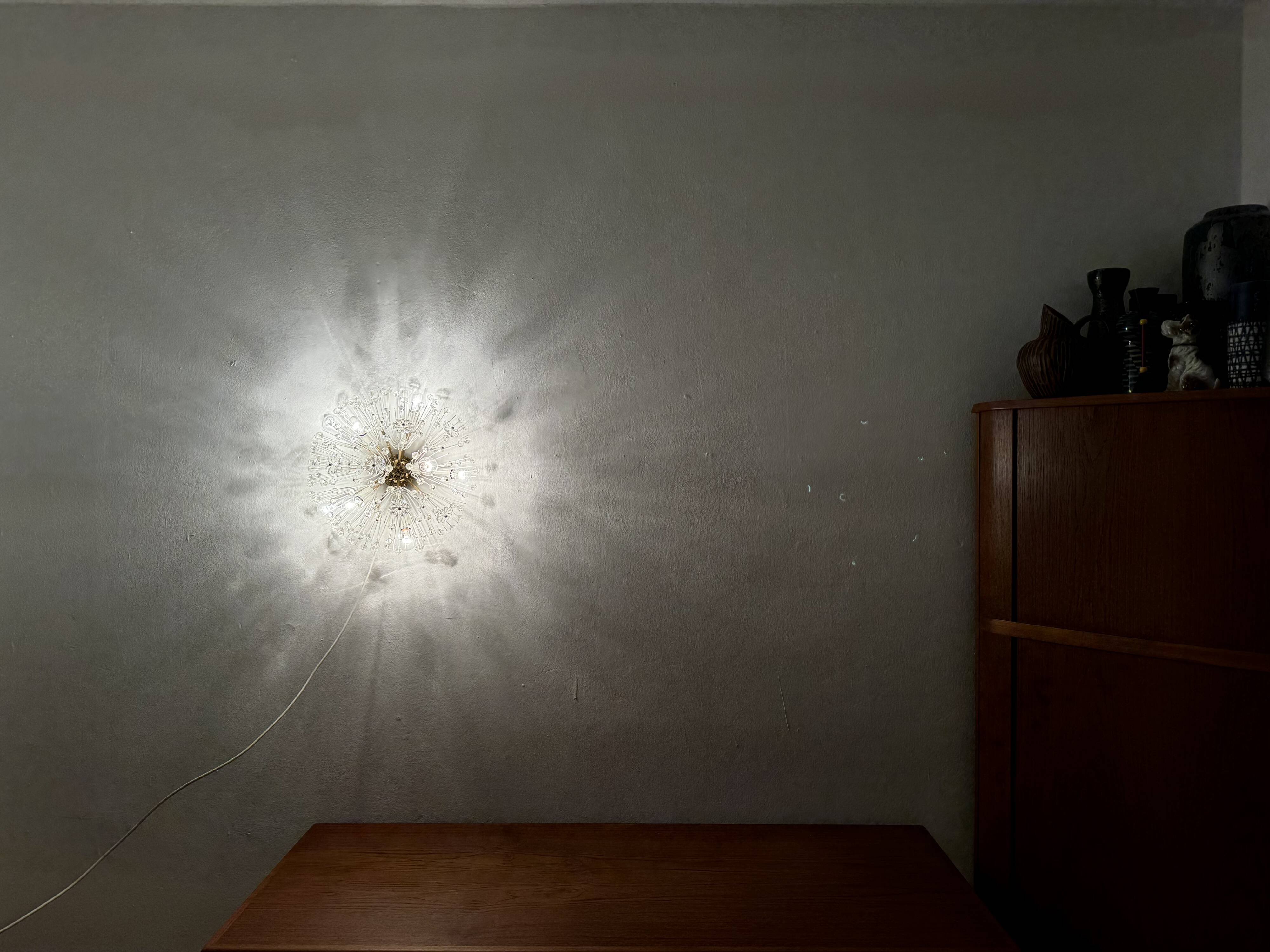 Dandelion Wall or Ceiling Lamp by Emil Stejnar for Rupert Nikoll