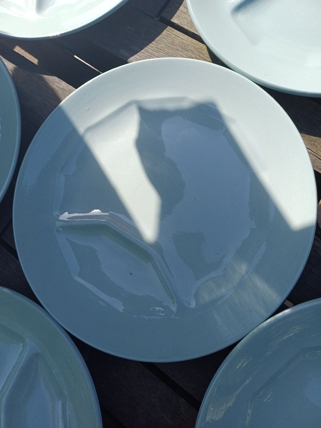 6 asparagus plates from Sarreguemines