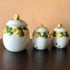 3 jars preservatives condiments onions garlic shallot decoration slurry Lemon